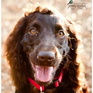 Meet your Posher, Laura